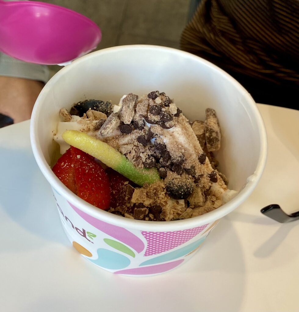 LA yogurtland