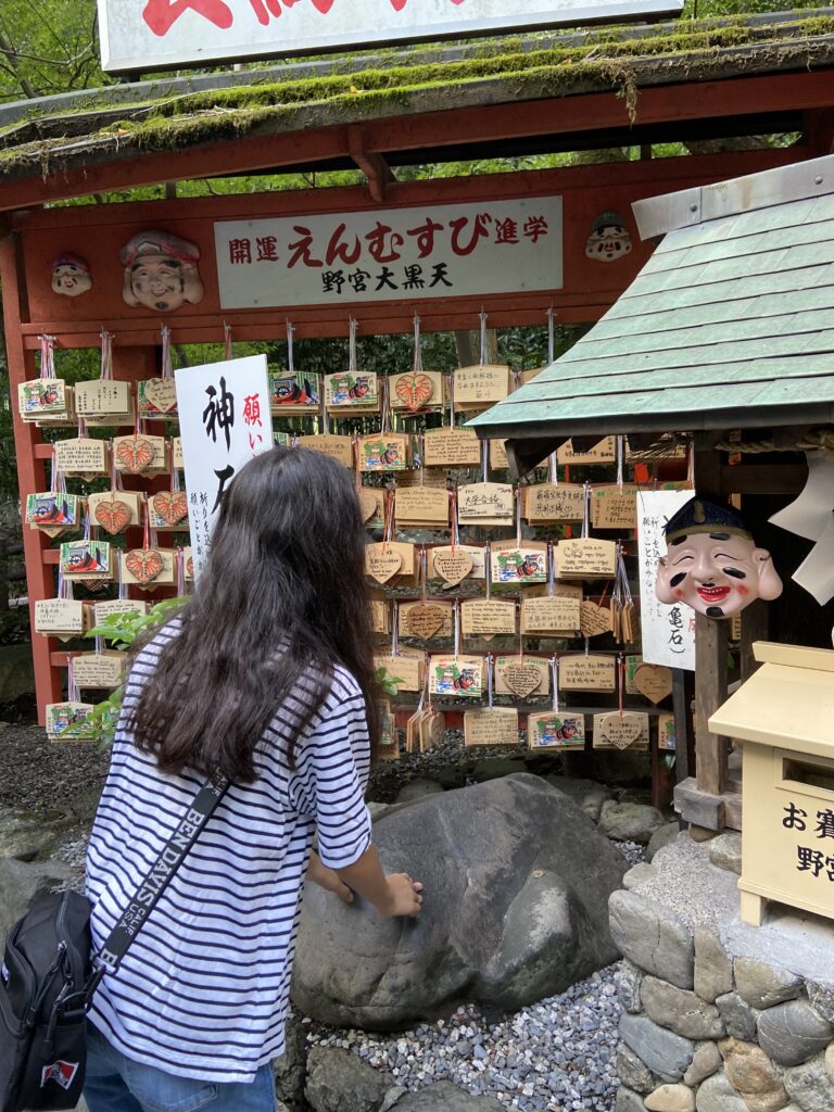 野宮神社　亀石