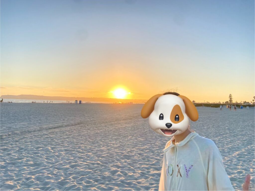 hotel del coronado
beach